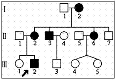 T3394C kit for detecting Leber disease