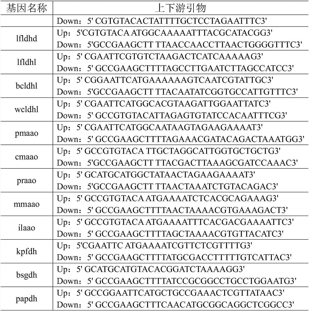 Engineering bacteria and application thereof