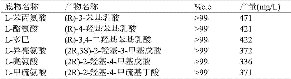 Engineering bacteria and application thereof