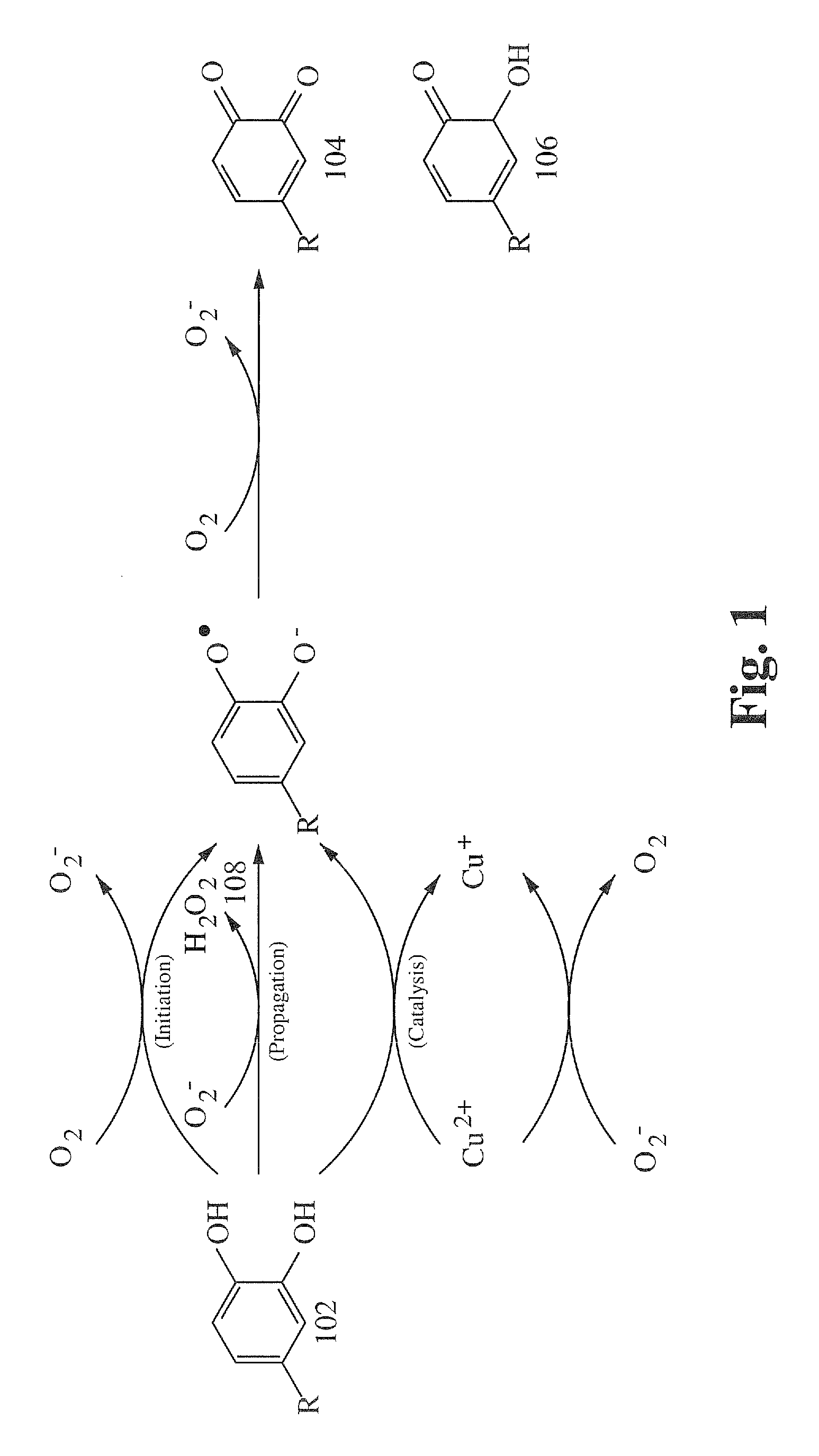 Therapeutic composition produced using punica granatum and hydrogen peroxide