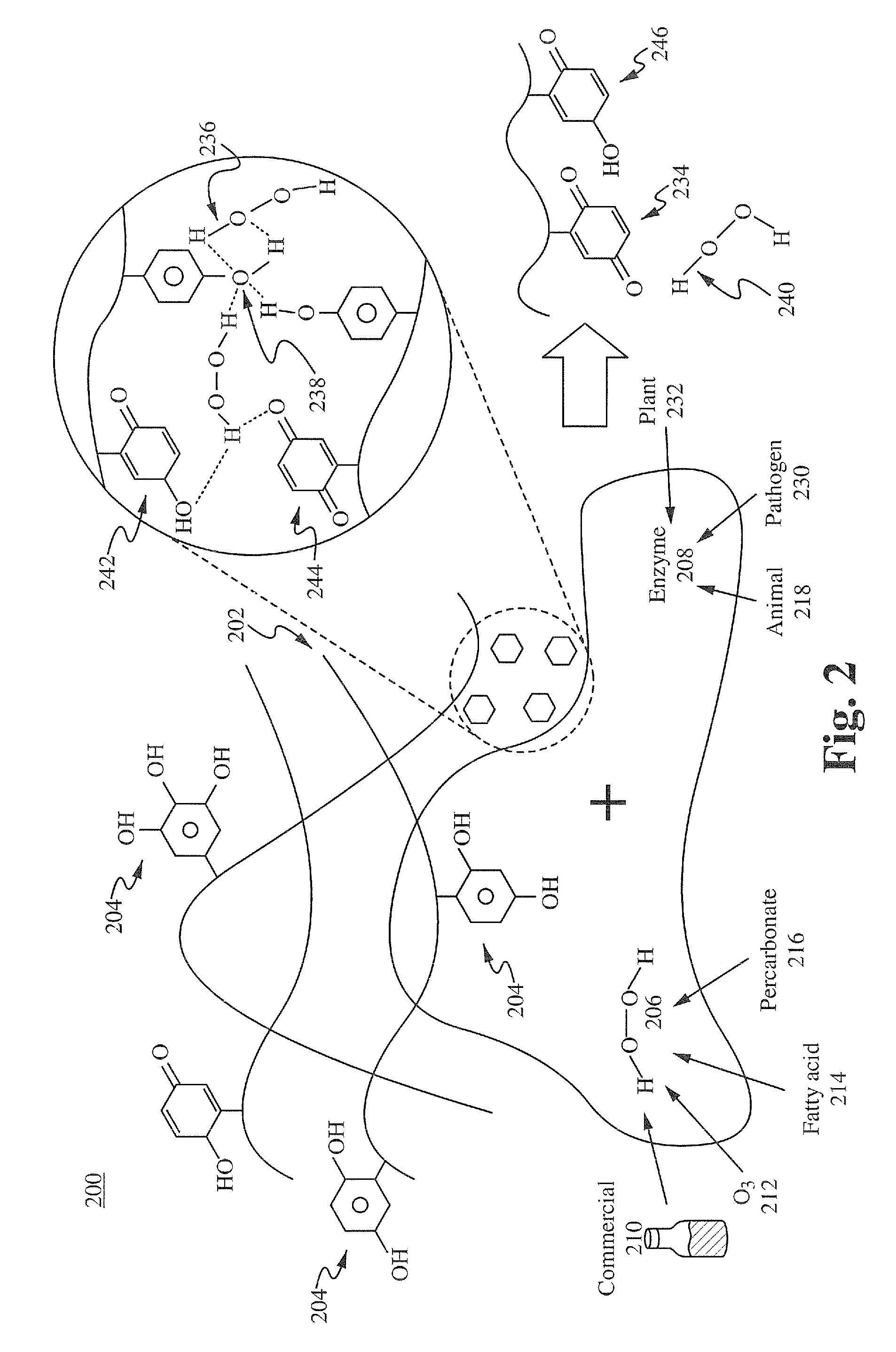 Therapeutic composition produced using punica granatum and hydrogen peroxide