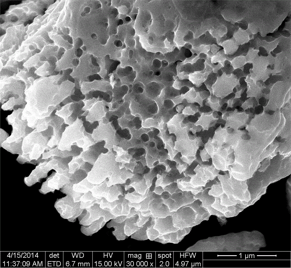 A kind of preparation method of transition metal phosphide co2p