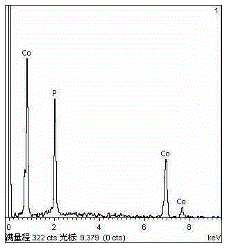 A kind of preparation method of transition metal phosphide co2p