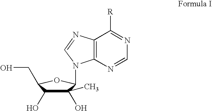 Synthesis and use of 2′-substituted-N6 -modified nucleosides