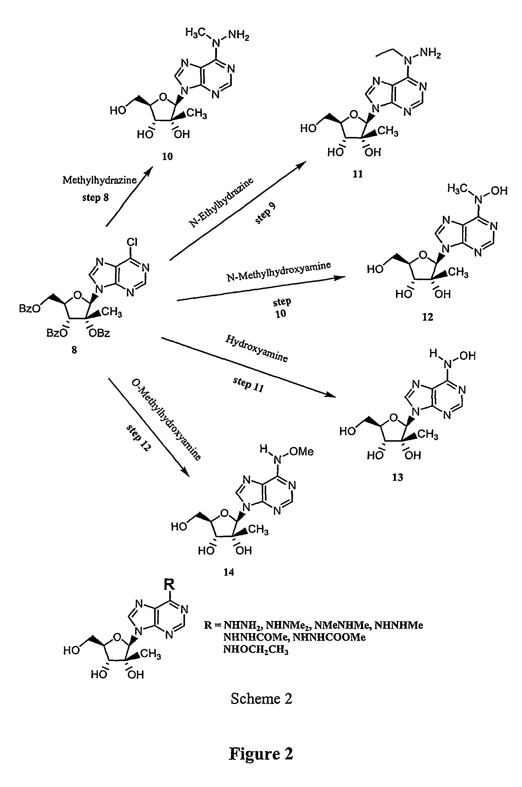 Synthesis and use of 2′-substituted-N6 -modified nucleosides