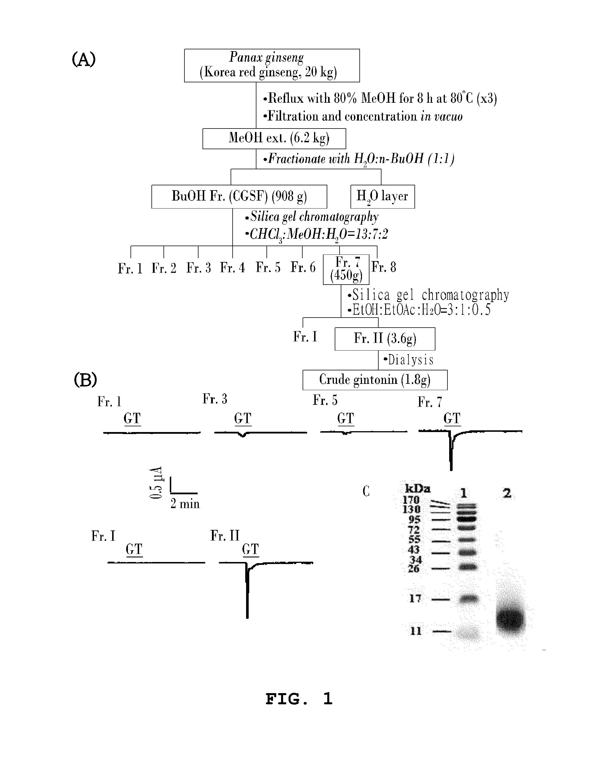 Method for preparing gintonin, which is a novel glycolipoproetin from panax ginseng, and gintonin, which is a novel glycolipoprotein, prepared by the method