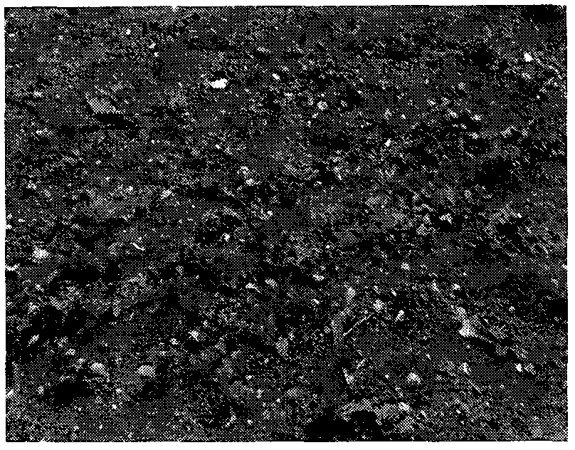 High-efficiency organic-matter biological fertilizer of tobaccos and preparation method thereof