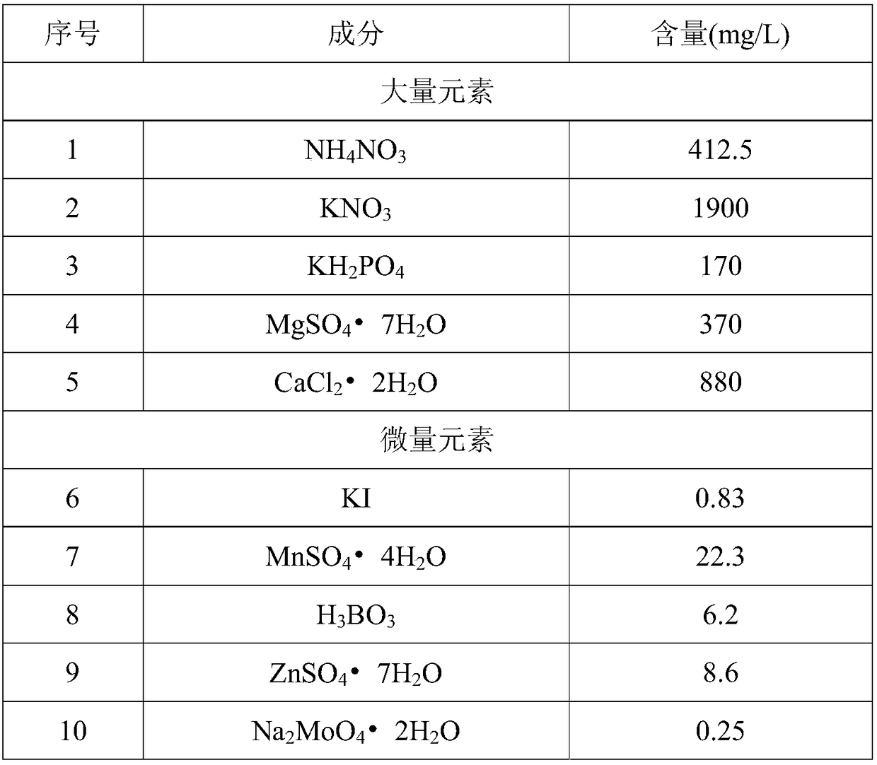 A kind of borneol camphor plantlet multiplication and rejuvenation method