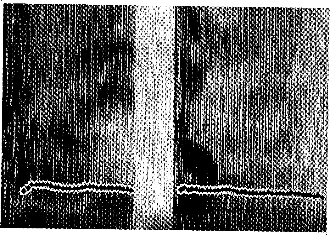 Method for identifying Chinese Putonghua orphaned word base on base frequency envelope