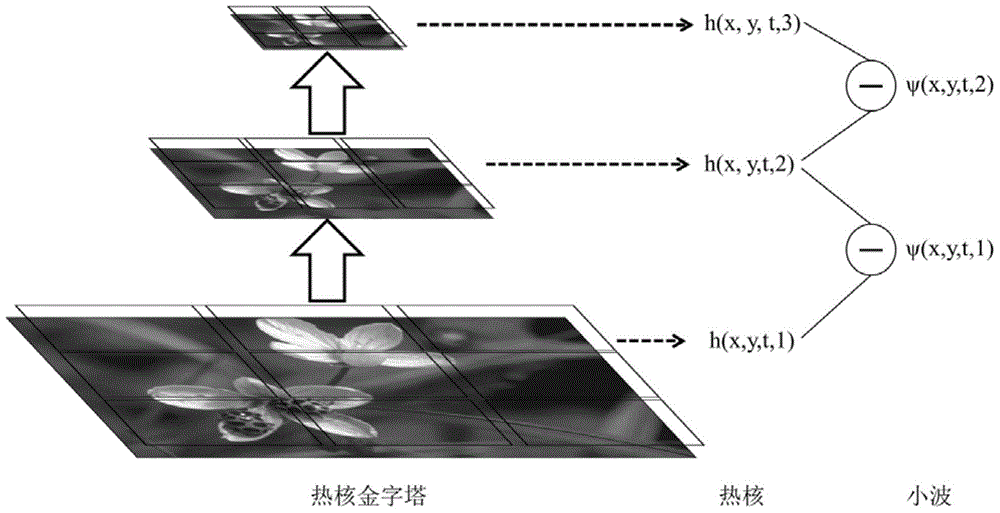 Anisotropic wavelet image processing method based on thermonuclear pyramid