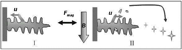 A method for solidification of fine grains by low-frequency pulsed magnetic field using electromagnetic force-induced melt oscillation