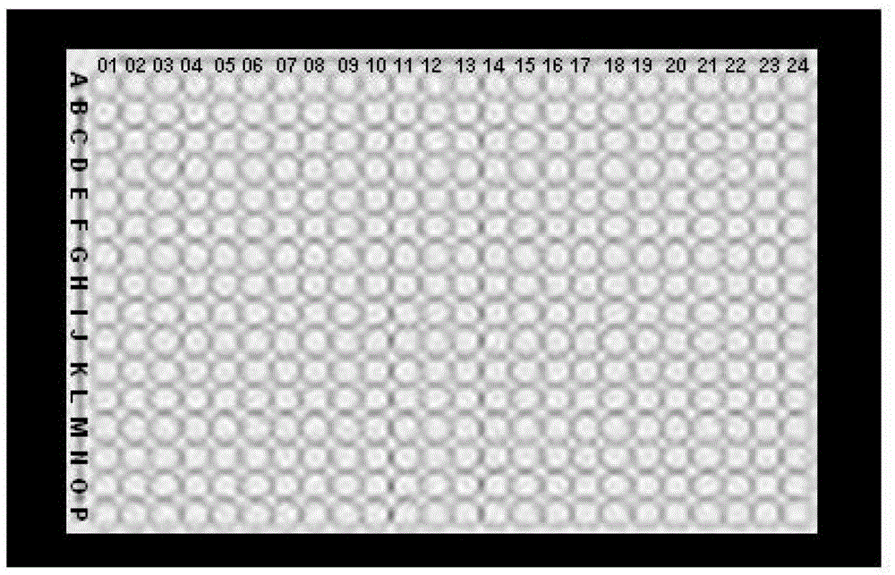 Fluorescent quantitative polymerase chain reaction 384-well pcr plate coordinate sample box