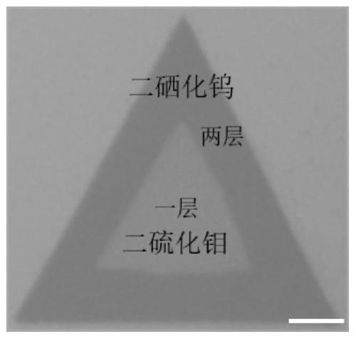 Preparation method of molybdenum disulfide/tungsten diselenide vertical heterojunction