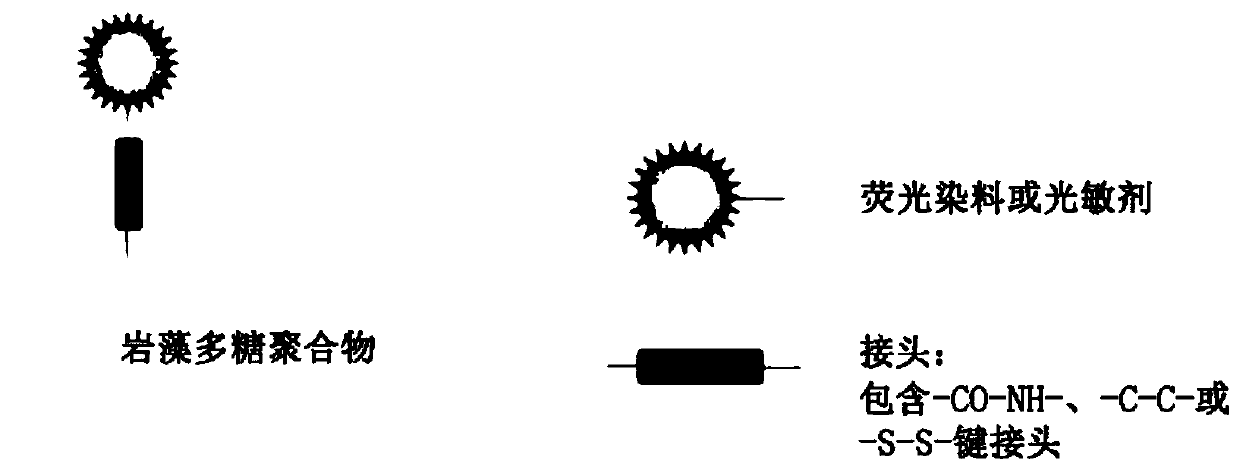 Fucoidan-based theragnostic Composition