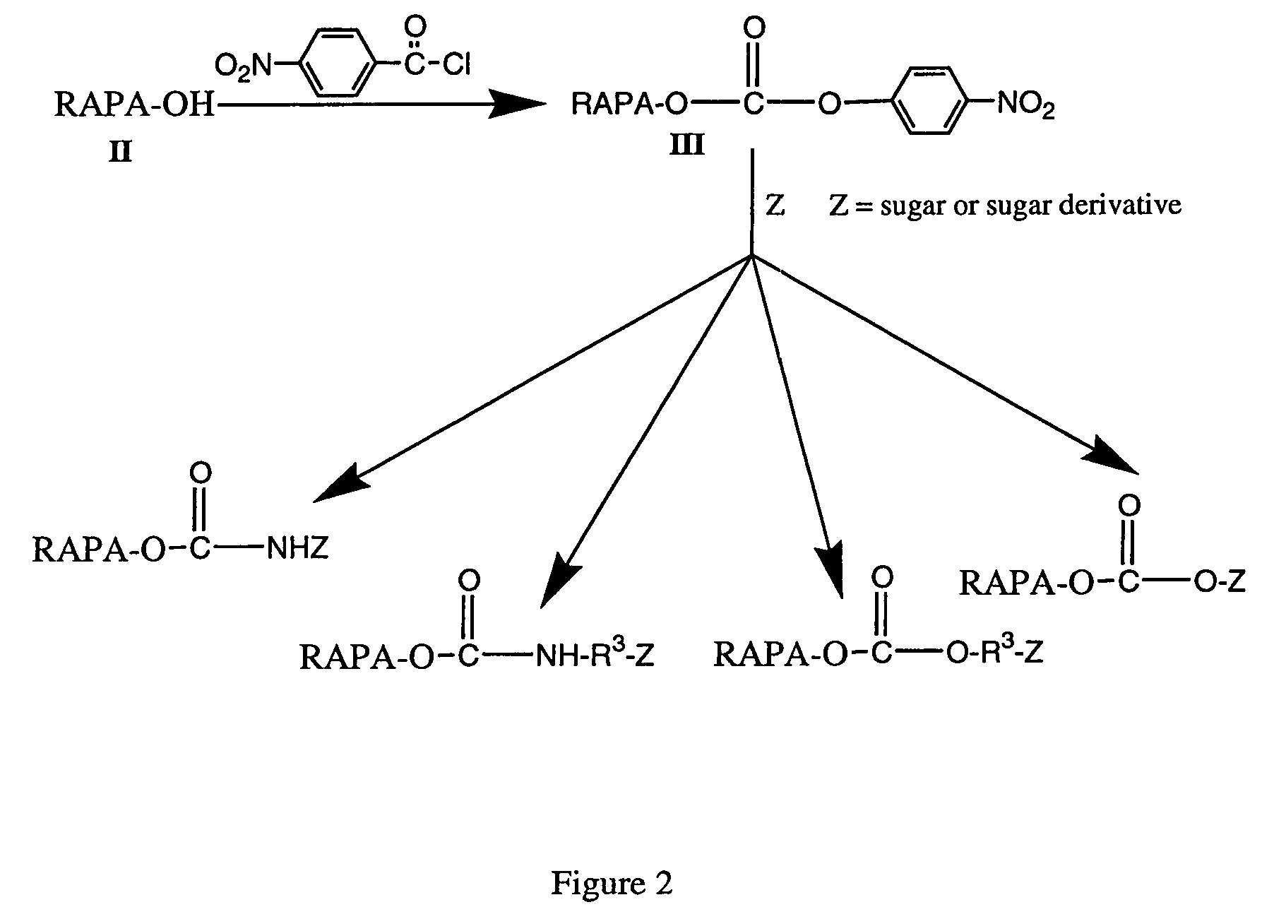 Rapamycin carbohydrate derivatives