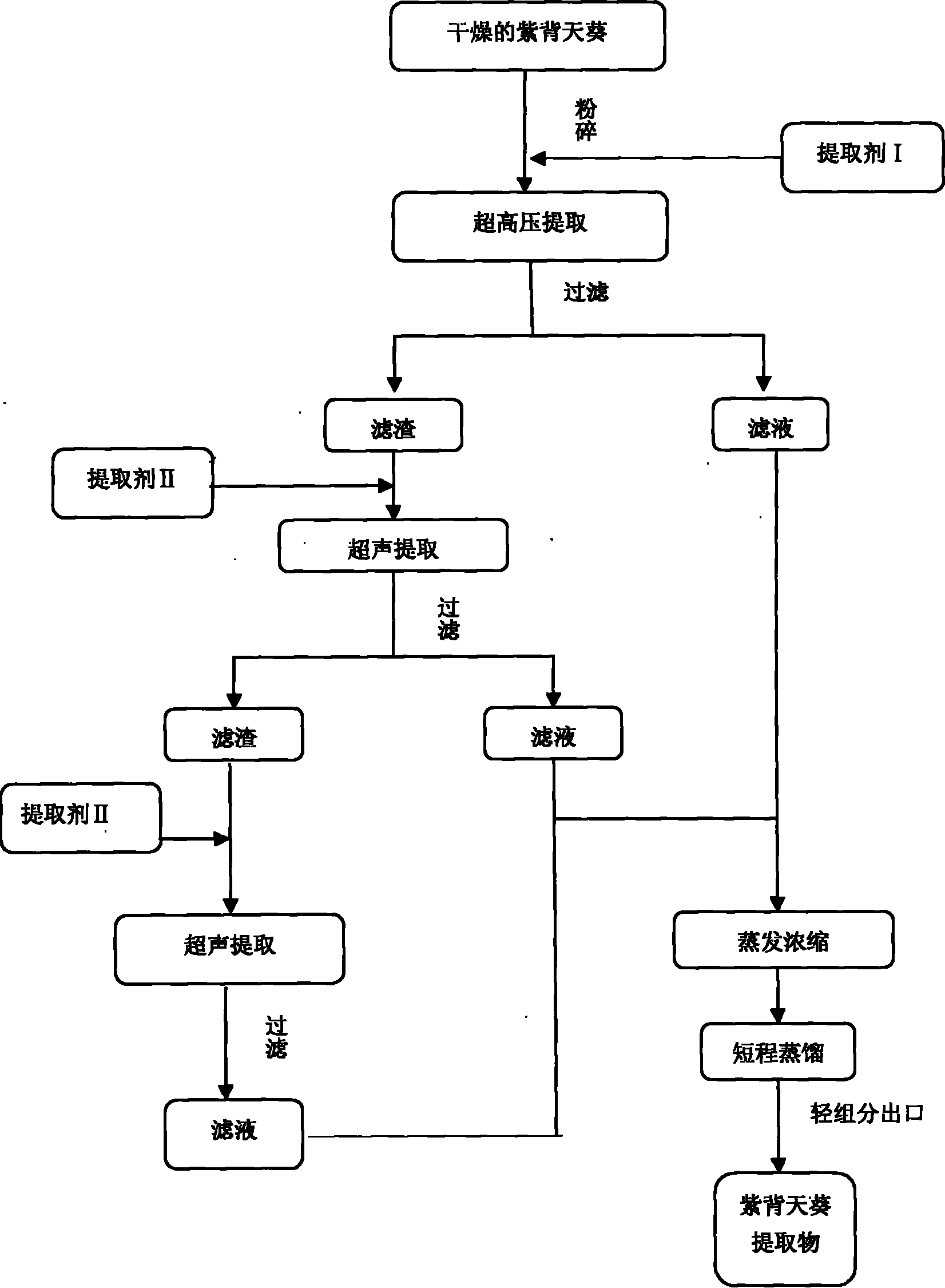 Gynura bicolor extract and usage thereof in removing free radical in cigarette smoke