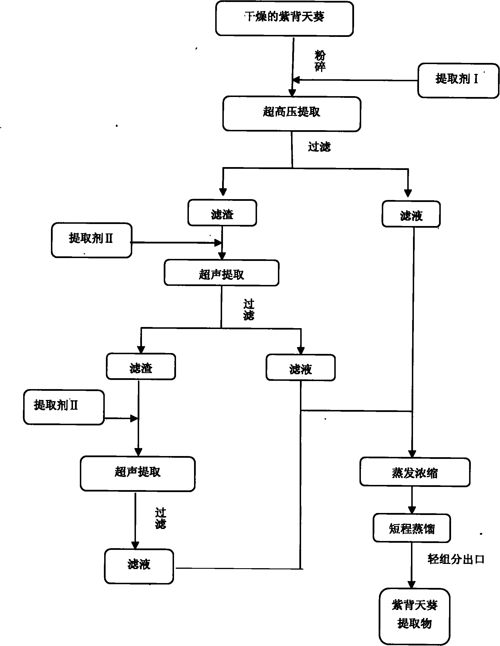 Gynura bicolor extract and usage thereof in removing free radical in cigarette smoke