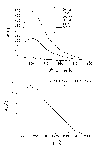 Micro RNAs (ribonucleic acids) fluorescence detection probe