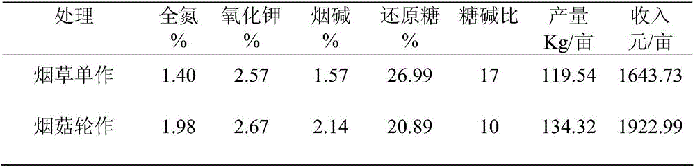 Compound cultivation method for tobaccos and stropharia rugoso-annulata