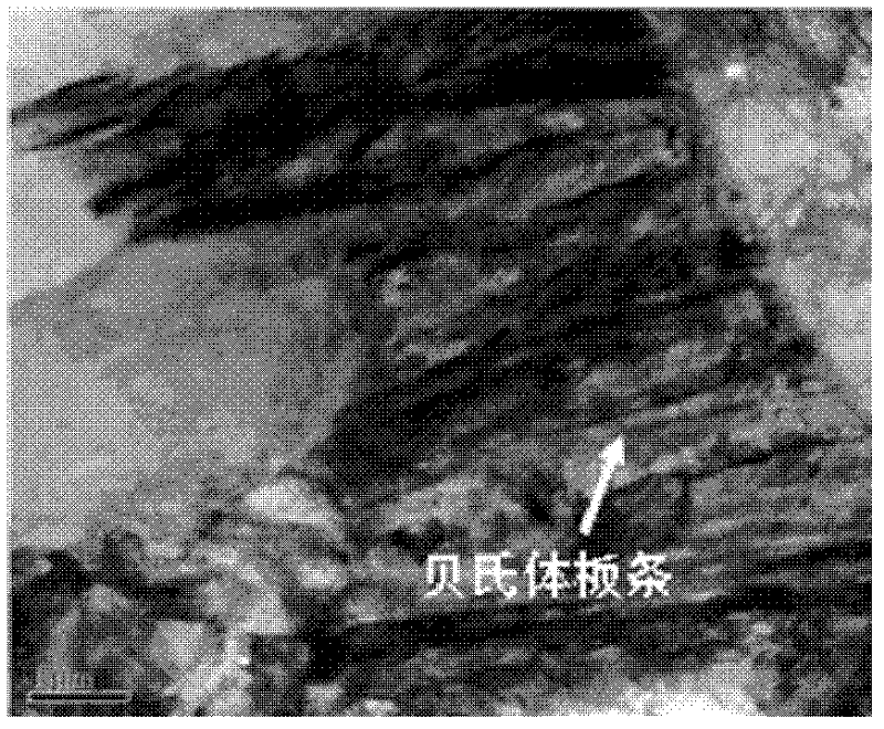 Hot rolled dual-phase steel sheets with high stretch-flangeability and manufacturing method thereof