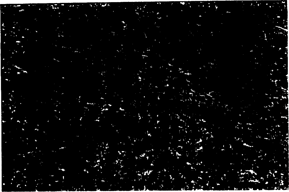 Inert ceramet anode for electrolyzing molten salt and its prepn