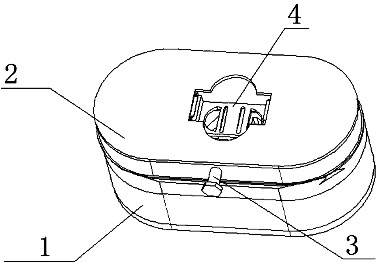 Fixing device for plug power-on