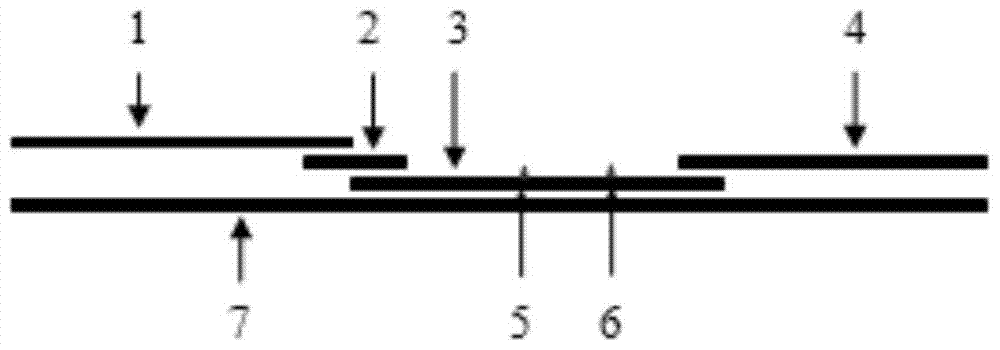 Applicable to the rapid determination of three kinds of pesticide residues in tea such as imidacloprid and the test strips used