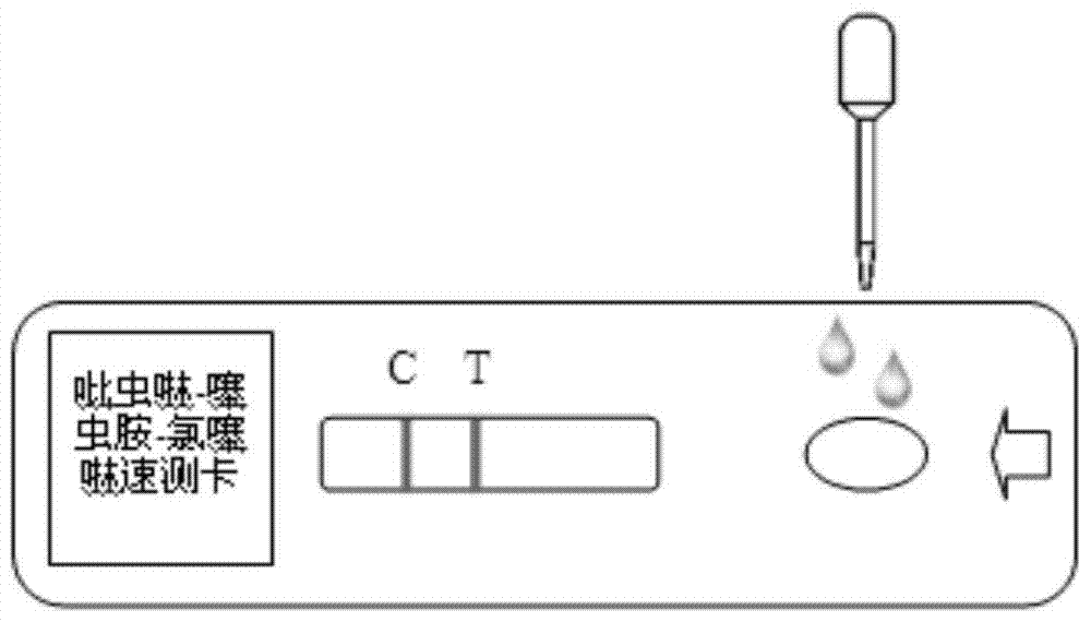 Applicable to the rapid determination of three kinds of pesticide residues in tea such as imidacloprid and the test strips used