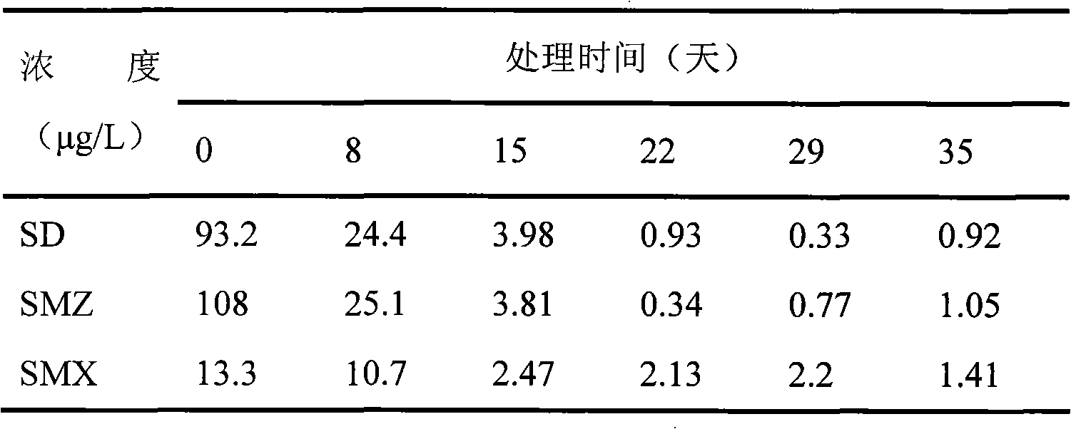 Method for processing aquaculture wastewater containing antibiotics by utilizing plant floating bed