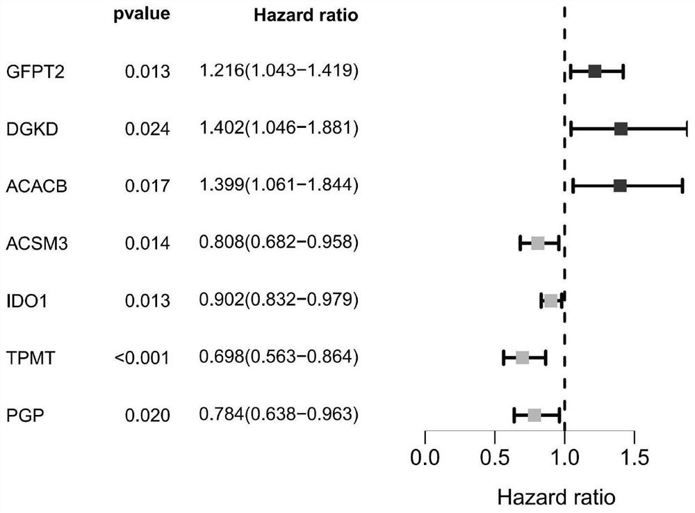 Molecular model for judging prognosis of ovarian cancer patient and application