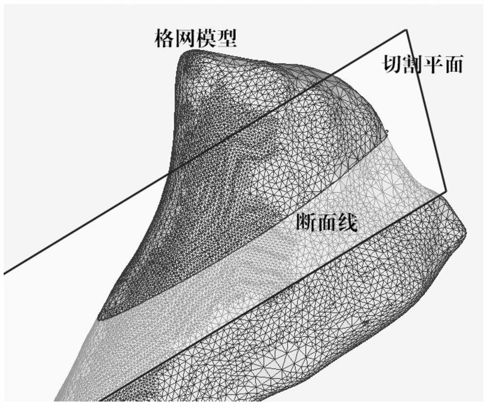 A Method for Acquiring Foot Shape Parameters Based on Grid Model and Section Line