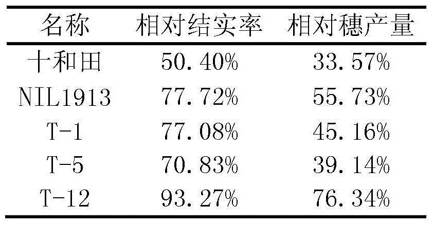 Method used for identifying cold tolerance of rice at booting stage