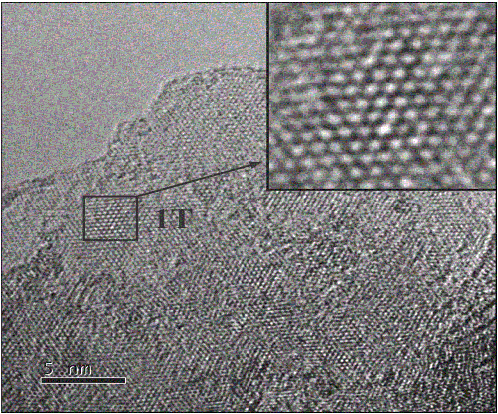 Preparation method of 1T-phase molybdenum disulfide