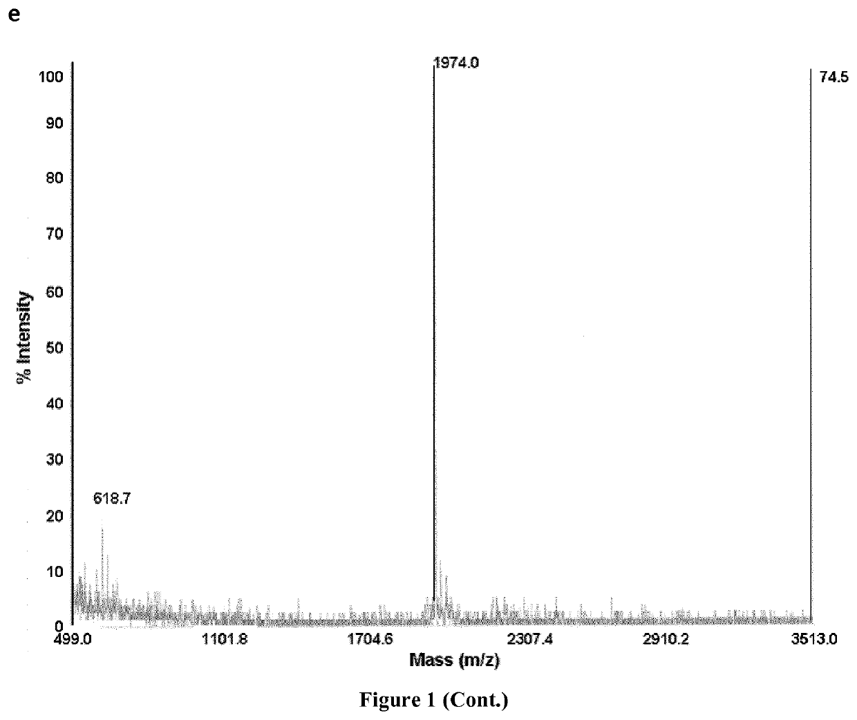 Therapeutic nanoconjugates and uses thereof