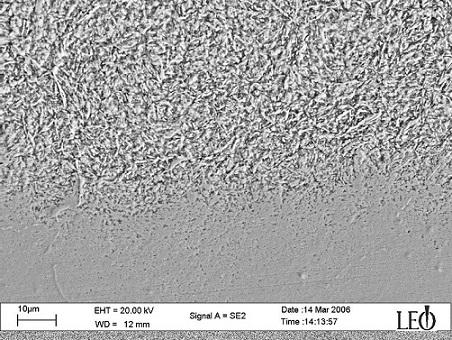 Formula and preparation method of nano and nano-micron carbon material-reinforced ultrafine grain surface layer tissue and steel material with surface layer structure