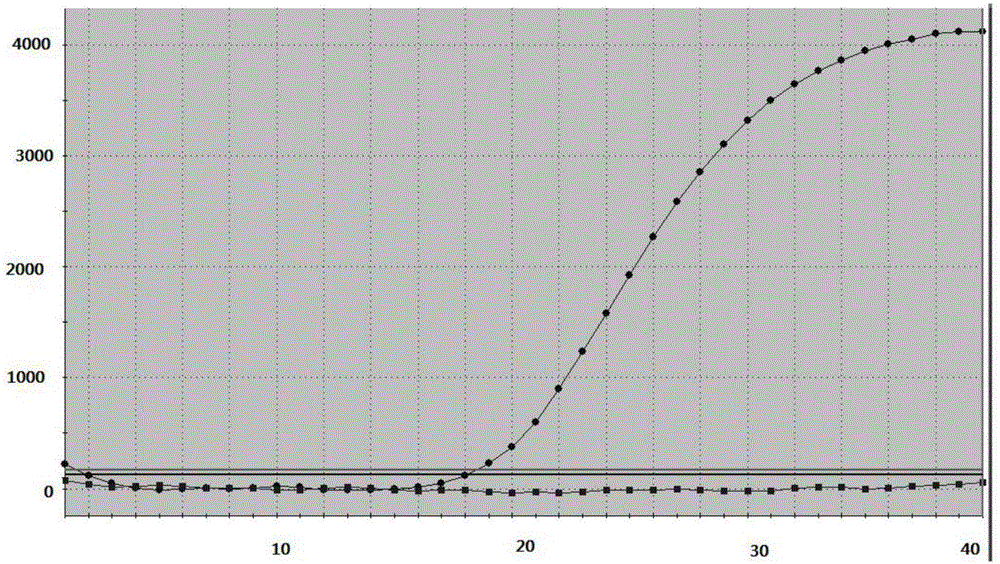 Kit and method for detecting drug-resistant mutation site of helicobacter pylori