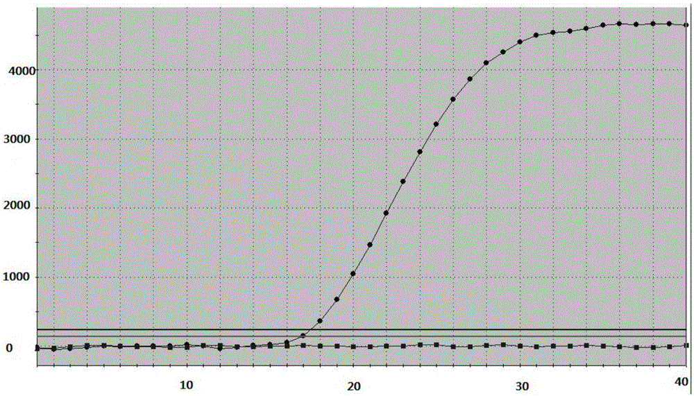 Kit and method for detecting drug-resistant mutation site of helicobacter pylori