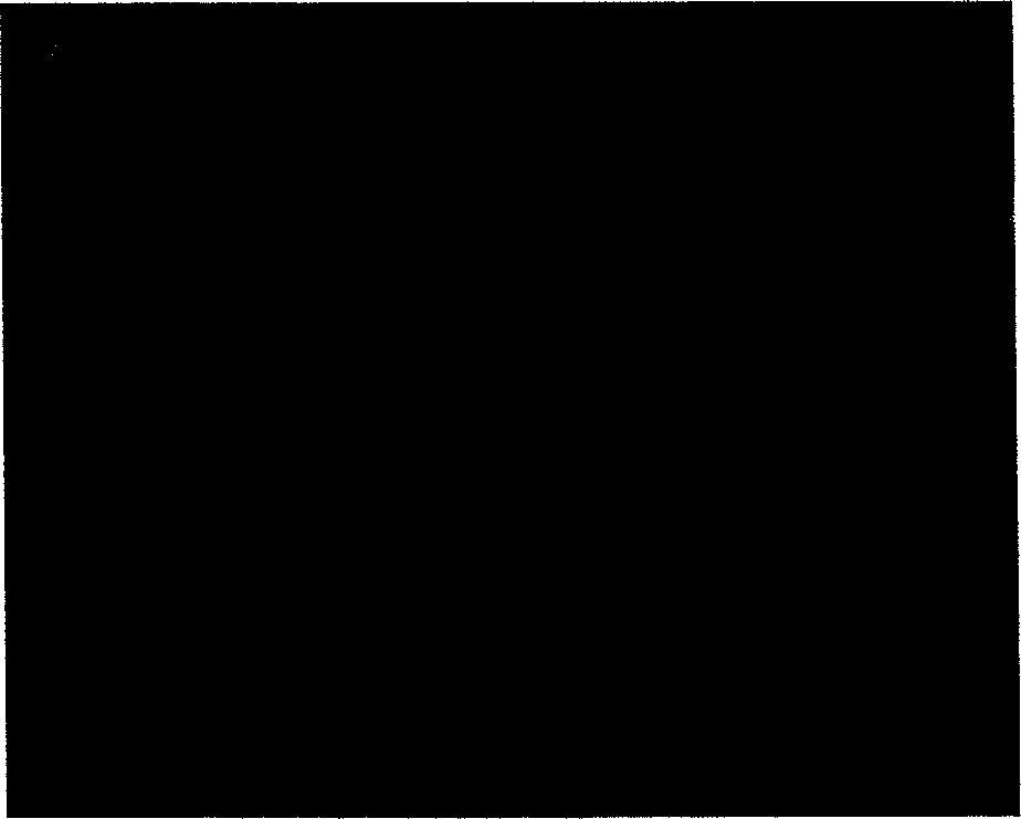 Fluorescence labeling hydrophobic modified chitin polymer, its preparation method and application