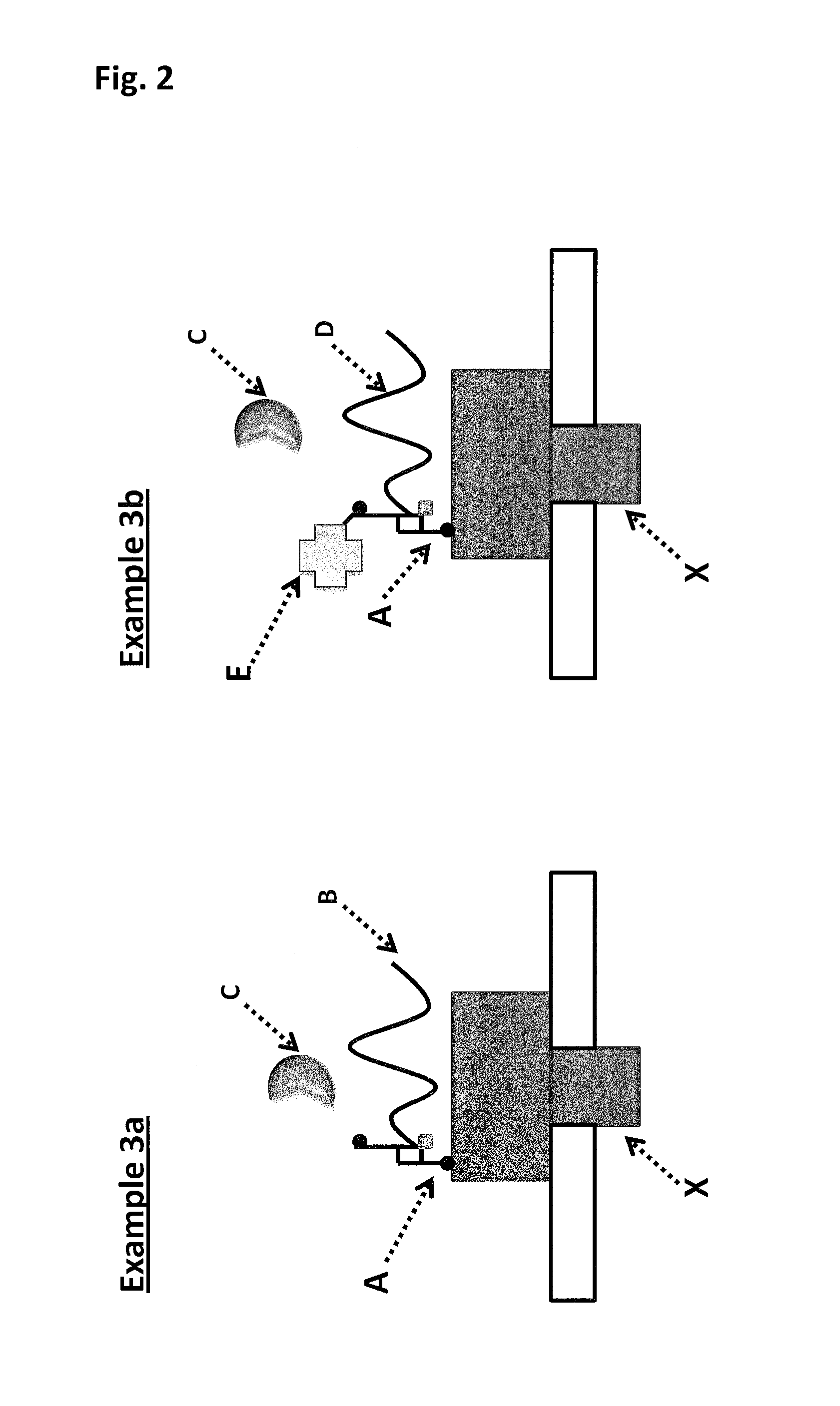 Ssb method