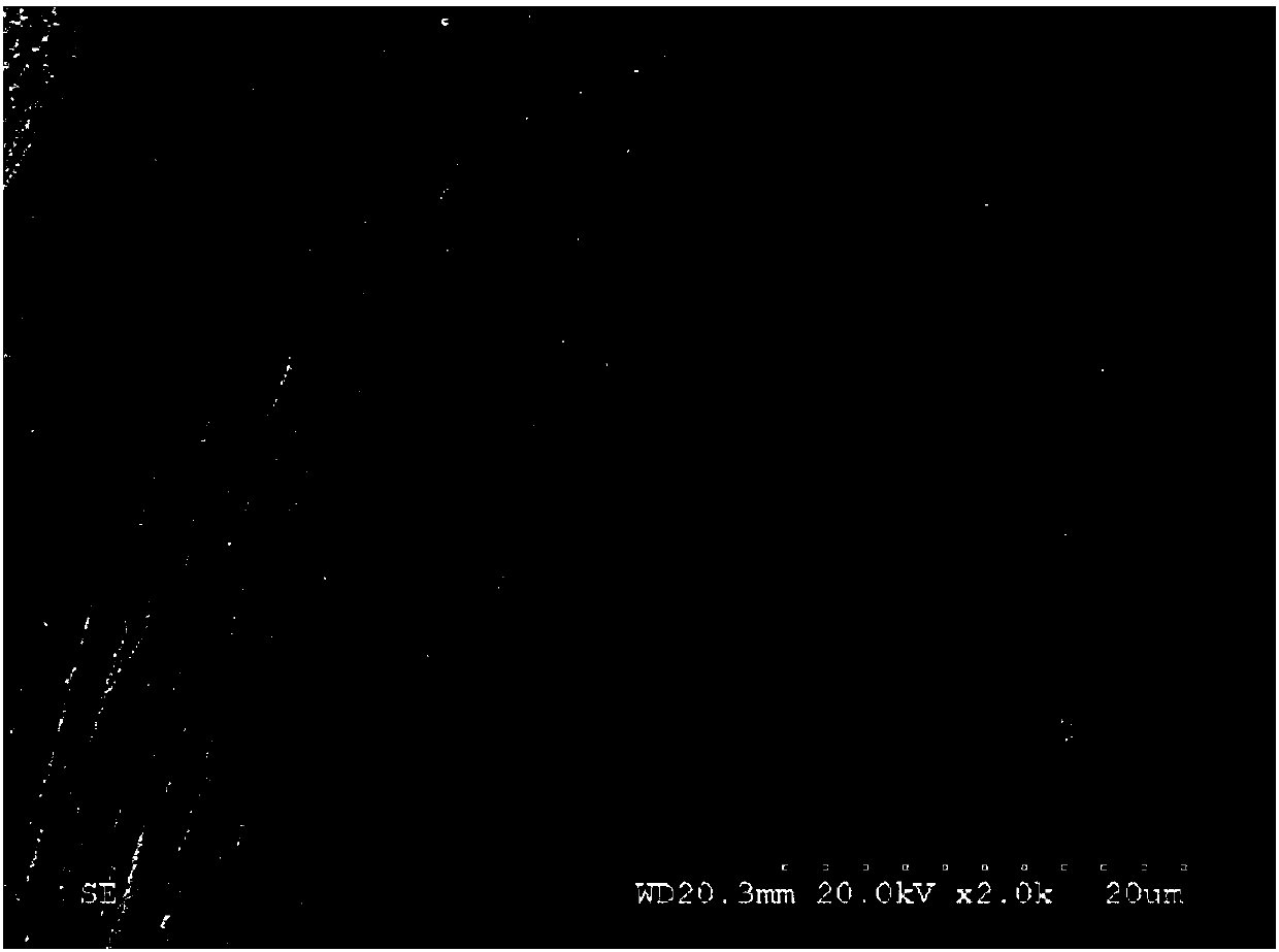 Feed capable of promoting skeleton development of piggies and preparation method of feed