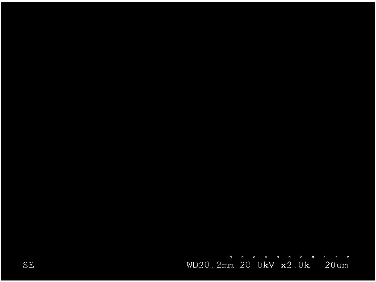 Feed capable of promoting skeleton development of piggies and preparation method of feed