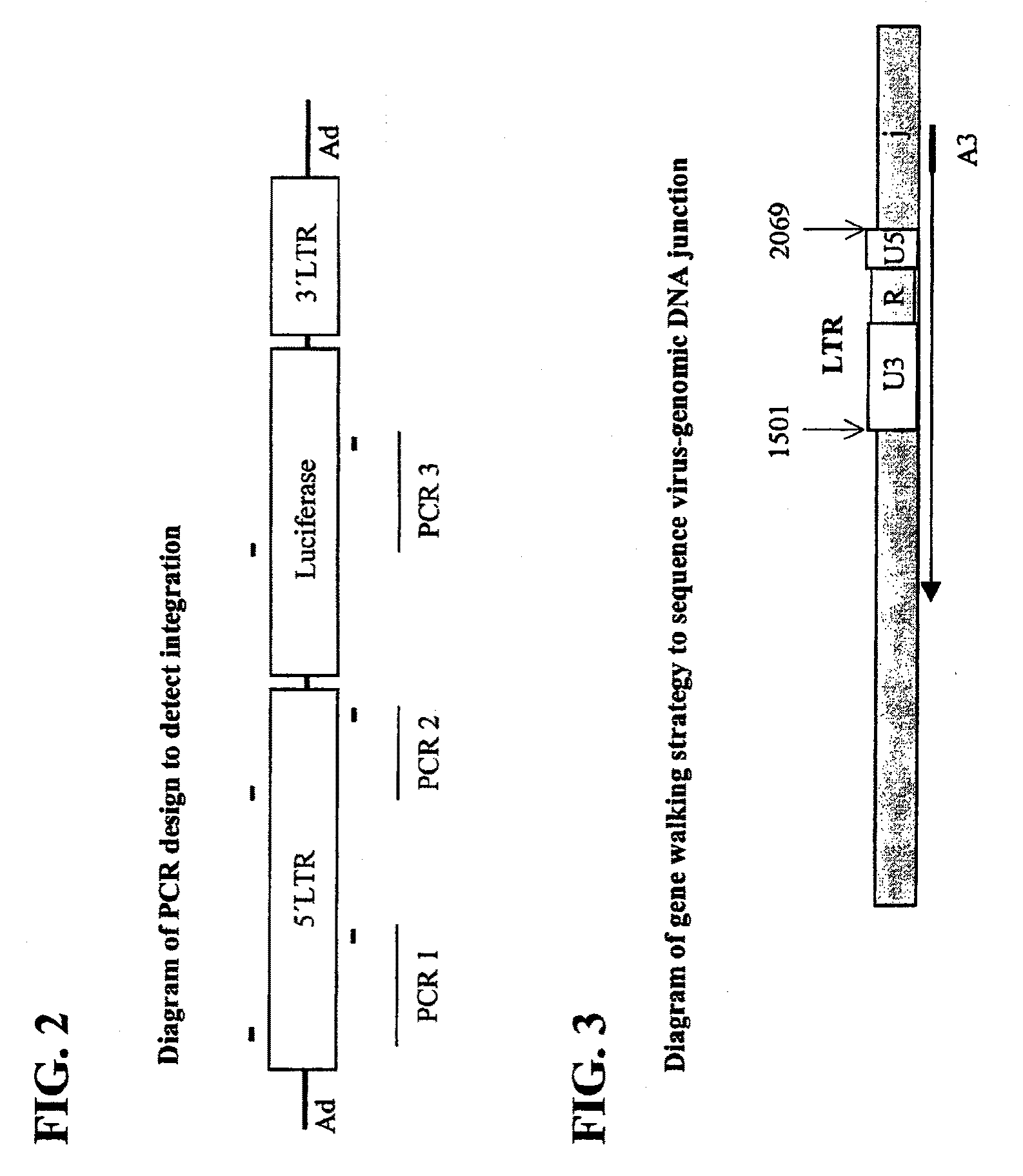 Hybrid adeno-retroviral vector for the transfection of cells