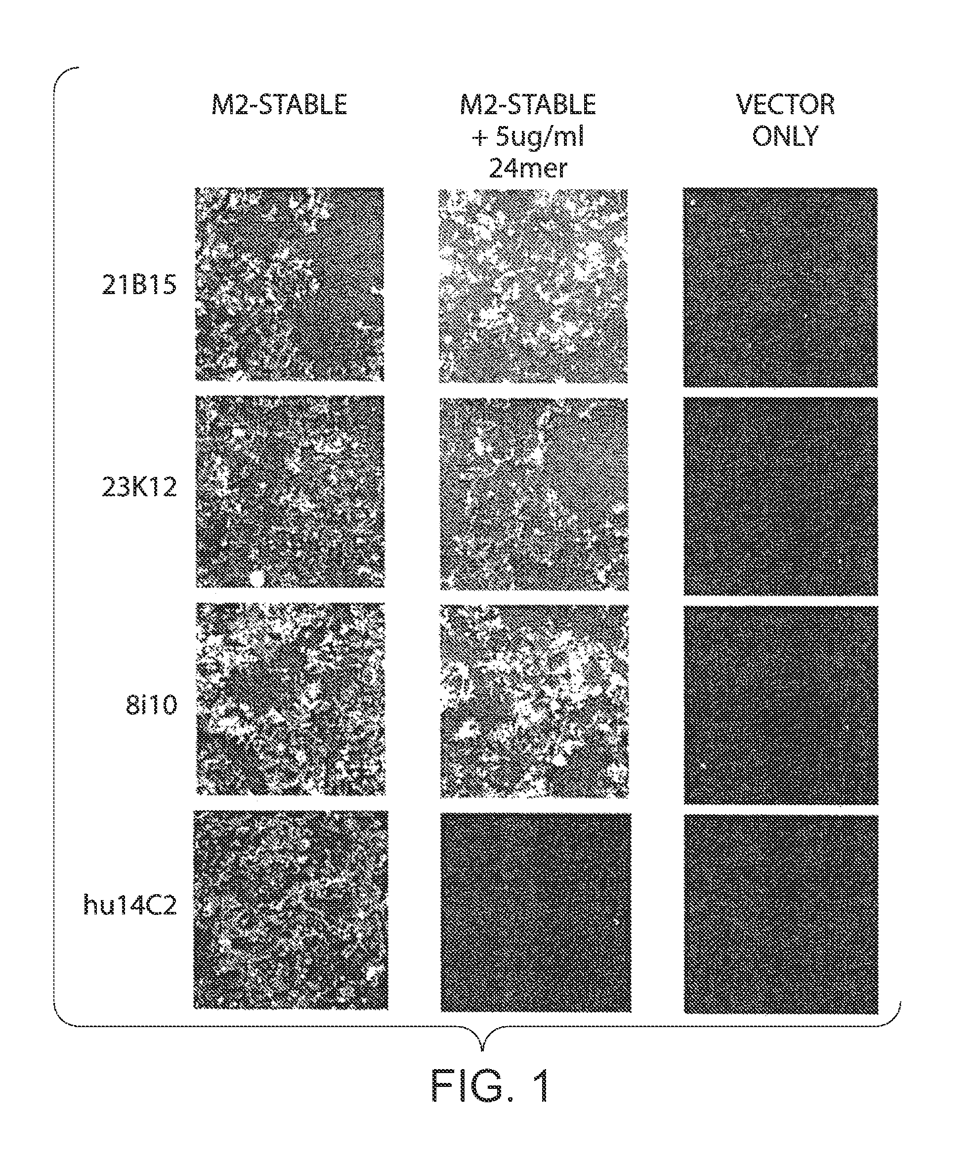 Compositions and methods for the therapy and diagnosis of influenza