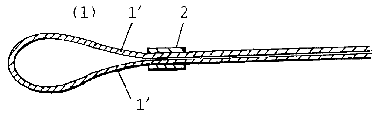 Wire loop type instrument for endoscope