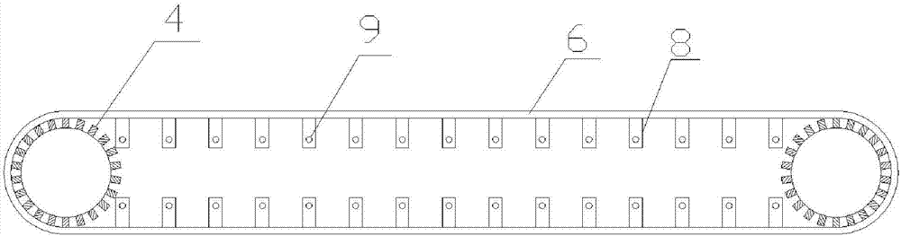 Stable jelly conveying mechanism for jelly drying device