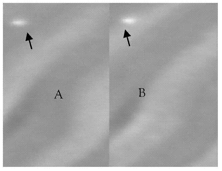 Image positioning method of banknote printing plate