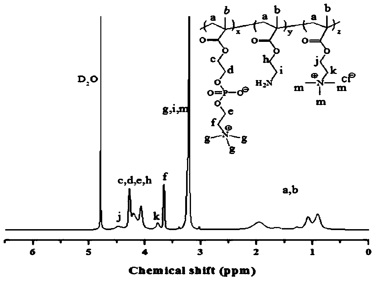 A biomimetic polymer and method and application for making durable dual biomimetic polymer coatings