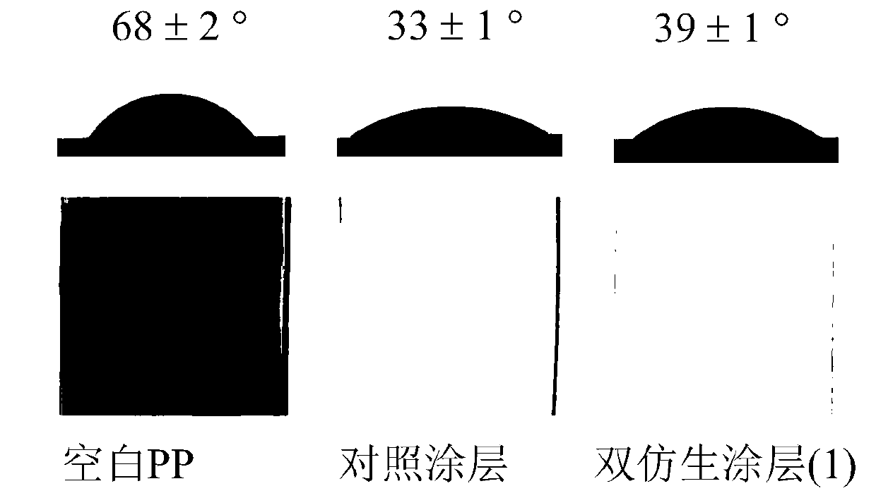 A biomimetic polymer and method and application for making durable dual biomimetic polymer coatings