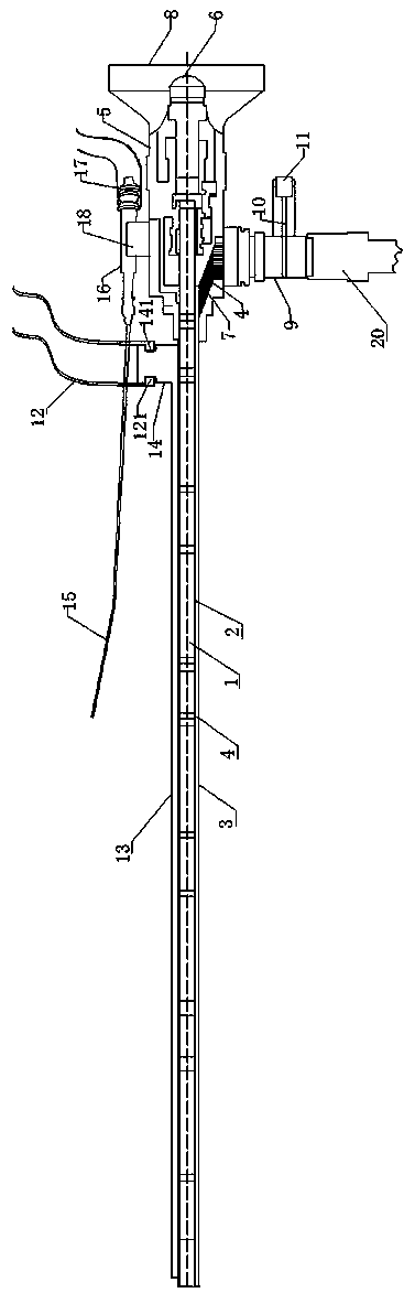 Multifunctional aural rigid endoscope