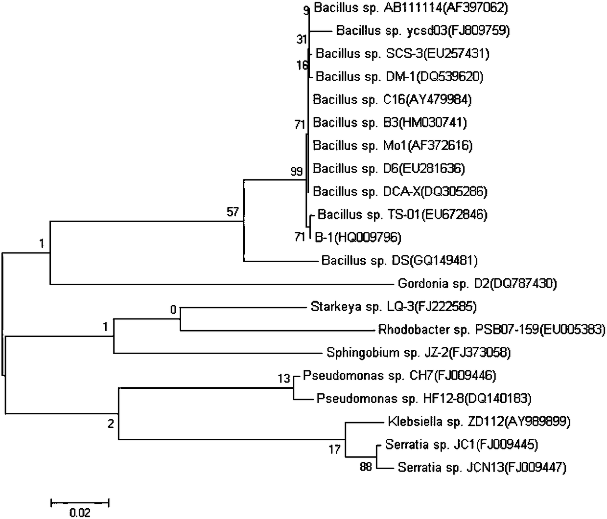 Beta-cypermethrin degrading bacterium and application thereof